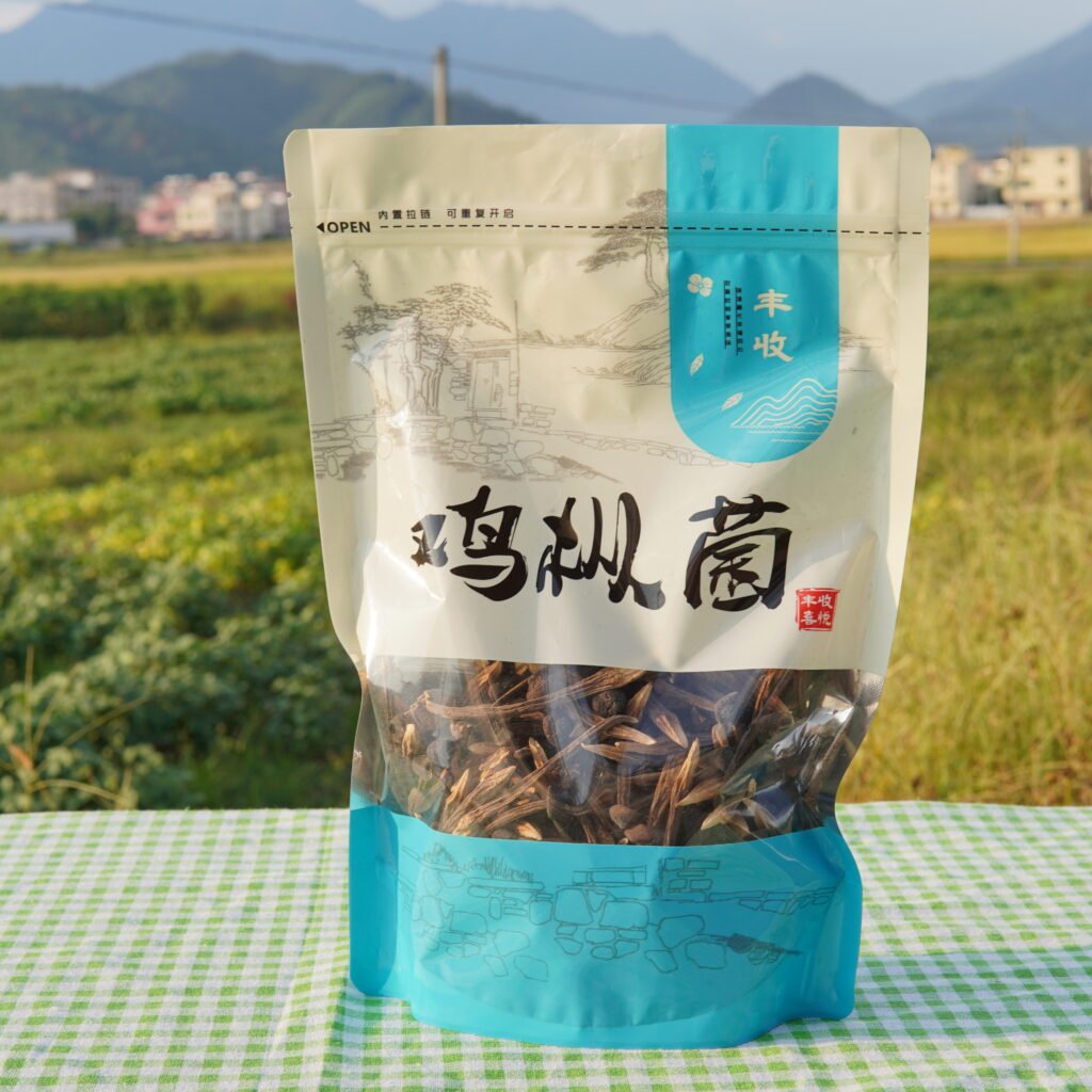 雞樅菌